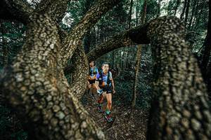 BIB: 
                            <button type="button" onclick="openModal(25392749)" class="btn btn-primary btn-sm float-right btn-popup" data-toggle="modal" data-target=".modal-high-quality">
                        <i class="fas fa-shopping-cart"></i> Add to Cart
                    </button>
                                            <button type="button" onclick="isThisMe(25392749, true)" class="btn btn-success btn-sm float-right btn-popup btn-isme hidden" data-toggle="tooltip" data-placement="bottom" title="นี่คือรูปของคุณใช่ไหม คลิกที่นี่เพื่อเอาเข้าอัลบั้ม">
                        <i class="fas fa-plus"></i> Add to album
                    </button>
                    <button type="button" onclick="isThisMe(25392749, false)" class="btn btn-warning btn-sm float-right btn-popup btn-isnotme hidden">
                        <i class="fas fa-ban"></i> Remove from album
                    </button>